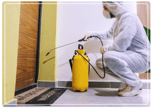 Professional Pest Control Newport Services